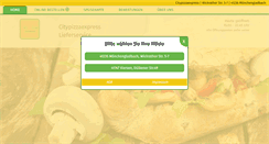 Desktop Screenshot of citypizzaexpress.de